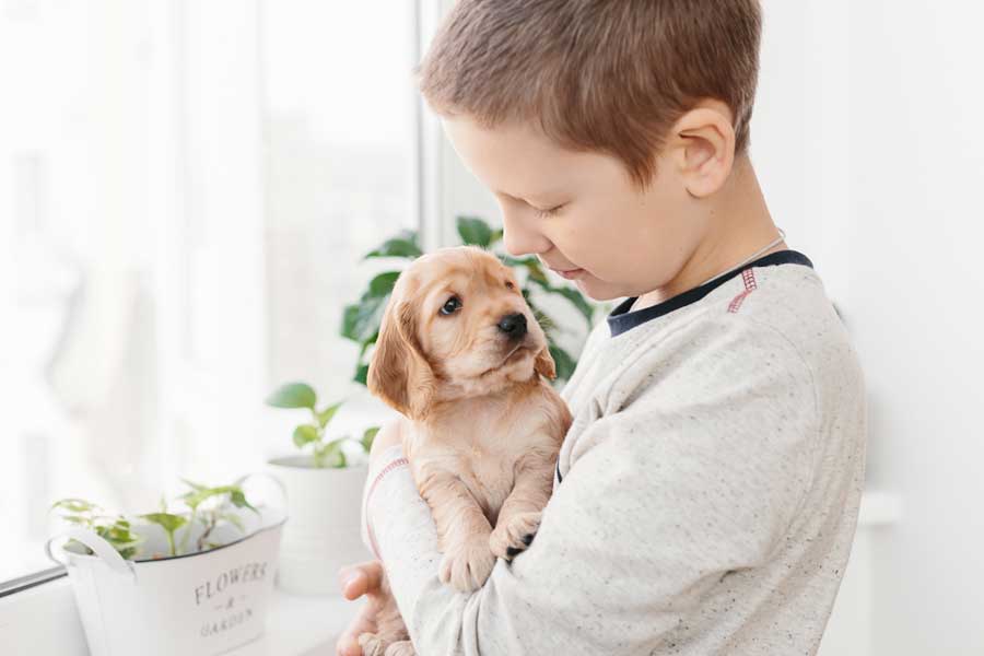 A boy holding a puppy